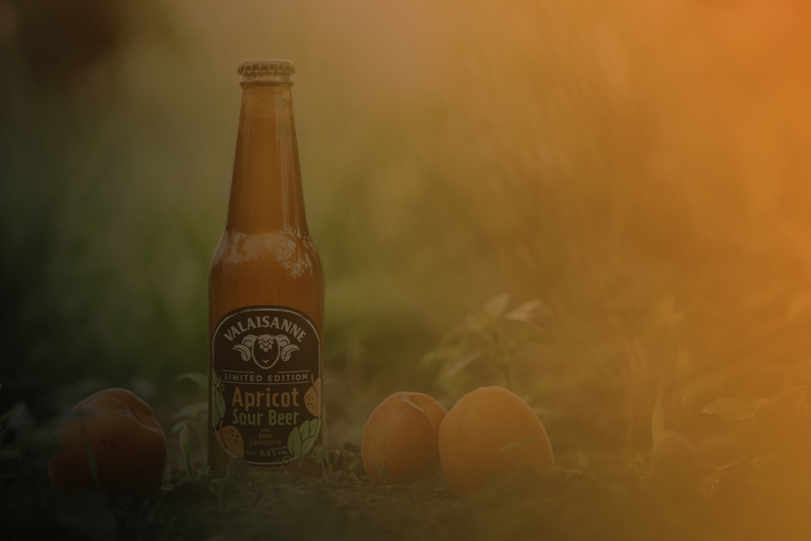 Apricot Sour Beer Brasserie VALAISANNE